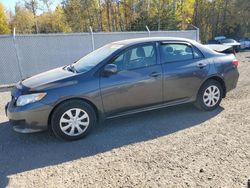 Toyota salvage cars for sale: 2009 Toyota Corolla Base