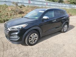 Hyundai Tucson salvage cars for sale: 2016 Hyundai Tucson Limited