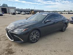 Lexus es 350 salvage cars for sale: 2024 Lexus ES 350 Base