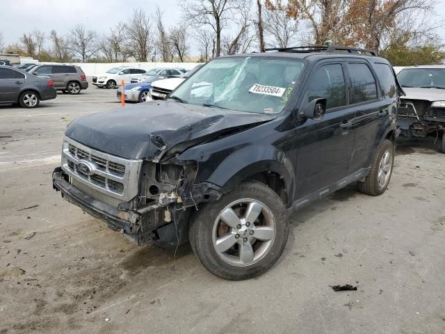 2012 Ford Escape XLT