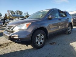 Honda crv salvage cars for sale: 2010 Honda CR-V EXL