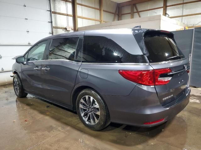 2024 Honda Odyssey EXL