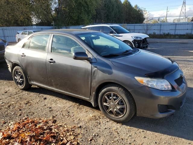 2009 Toyota Corolla Base