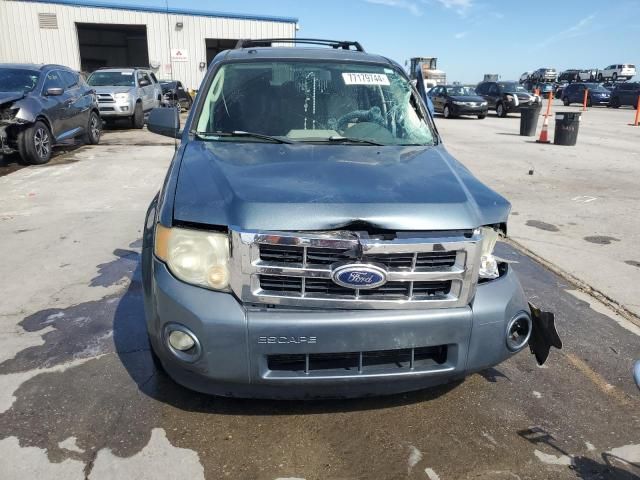 2010 Ford Escape XLT