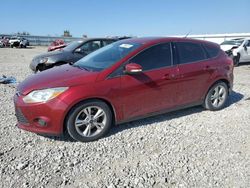 Ford Focus salvage cars for sale: 2014 Ford Focus SE