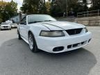 2001 Ford Mustang Cobra SVT