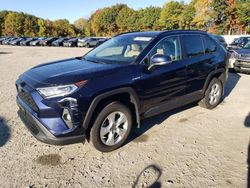 Salvage cars for sale from Copart North Billerica, MA: 2021 Toyota Rav4 XLE