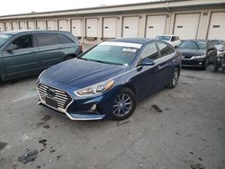 Hyundai Sonata salvage cars for sale: 2019 Hyundai Sonata SE