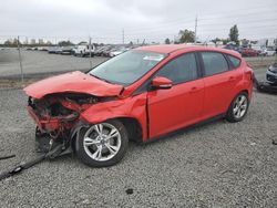 Ford Focus salvage cars for sale: 2012 Ford Focus SE