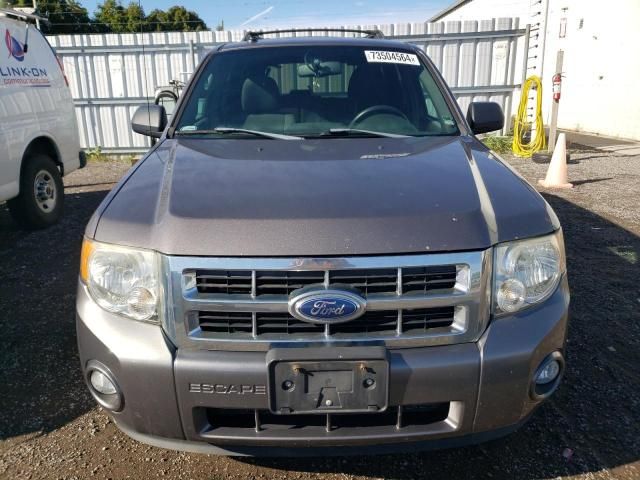 2012 Ford Escape XLT