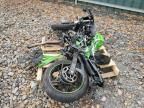 2024 Kawasaki EX500 H