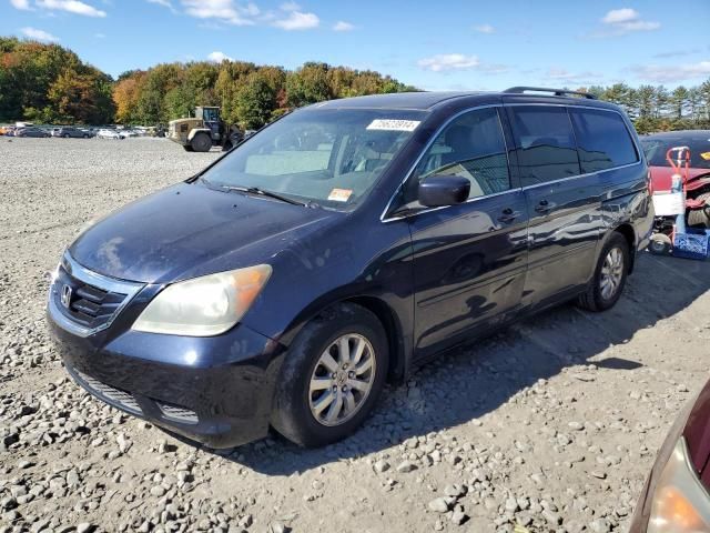 2008 Honda Odyssey EXL