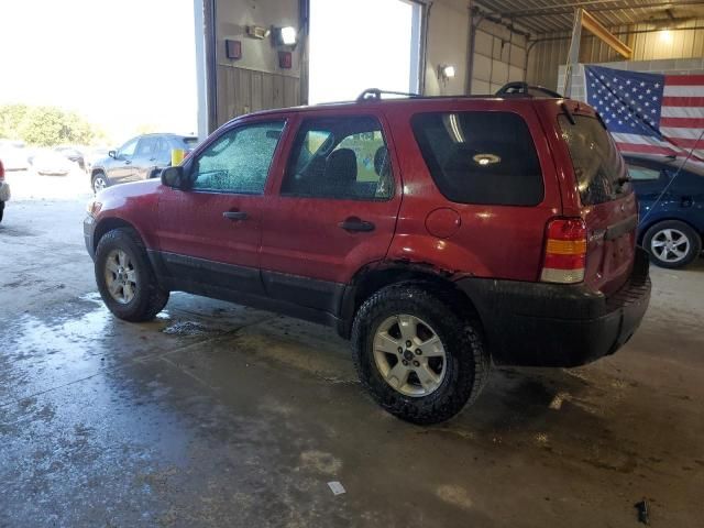 2007 Ford Escape XLT