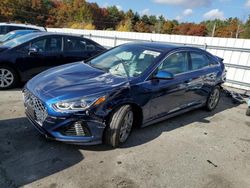 Hyundai Sonata salvage cars for sale: 2019 Hyundai Sonata Limited