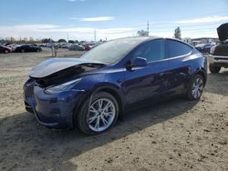 Tesla salvage cars for sale: 2023 Tesla Model Y