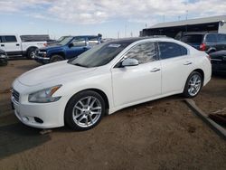 Nissan Maxima salvage cars for sale: 2009 Nissan Maxima S