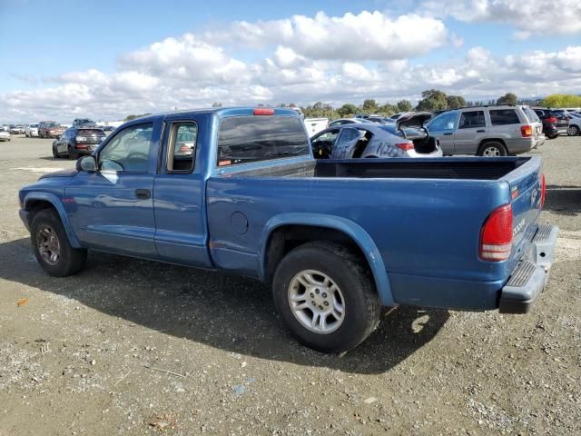 2004 Dodge Dakota SXT