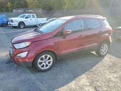 Ford Ecosport salvage cars for sale: 2019 Ford Ecosport SE