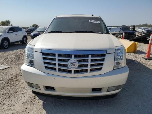 2009 Cadillac Escalade Luxury