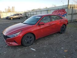 Hyundai Elantra salvage cars for sale: 2021 Hyundai Elantra SEL