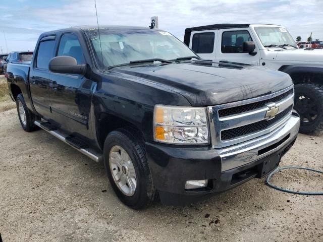 2010 Chevrolet Silverado C1500 LT