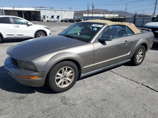 2005 Ford Mustang