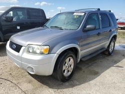 2007 Ford Escape XLT en venta en Arcadia, FL