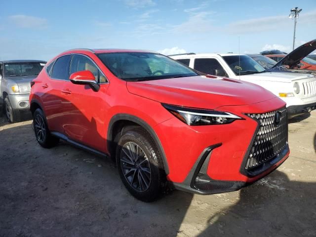 2024 Lexus NX 250 Premium