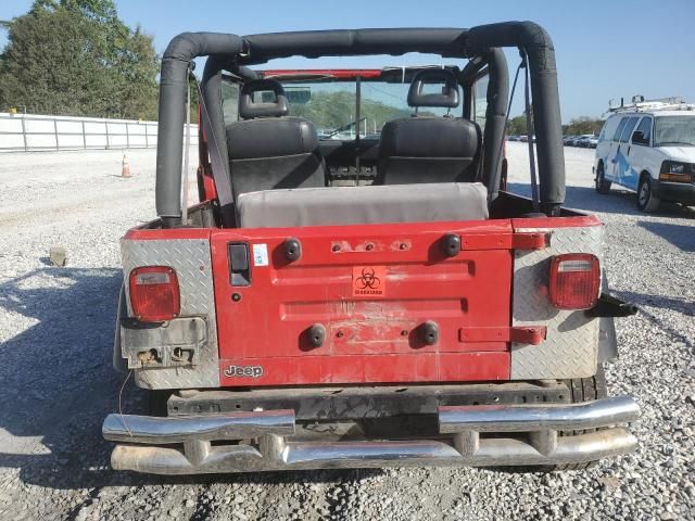 1993 Jeep Wrangler / YJ