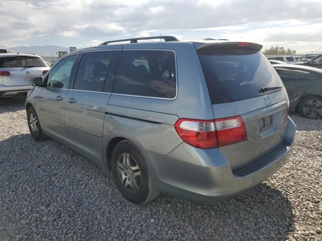 2005 Honda Odyssey EXL