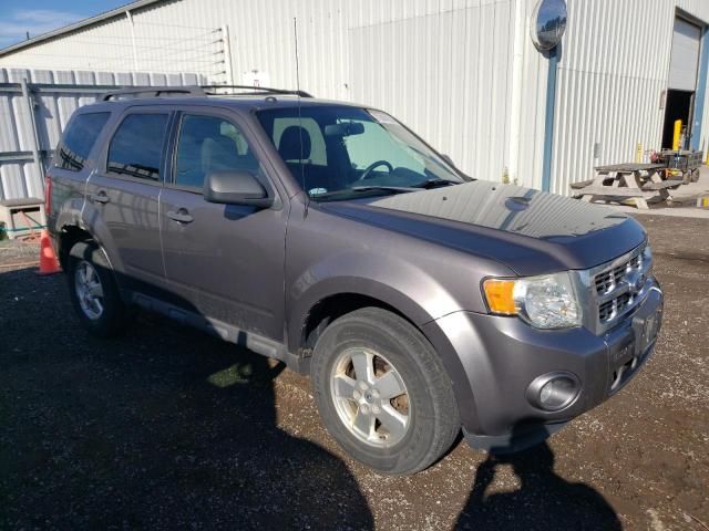 2012 Ford Escape XLT