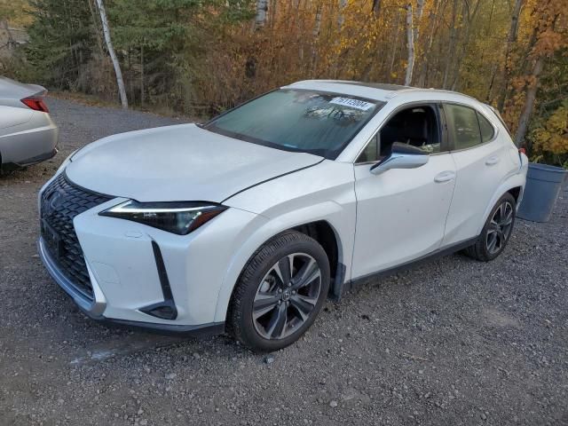 2024 Lexus UX 250H Premium