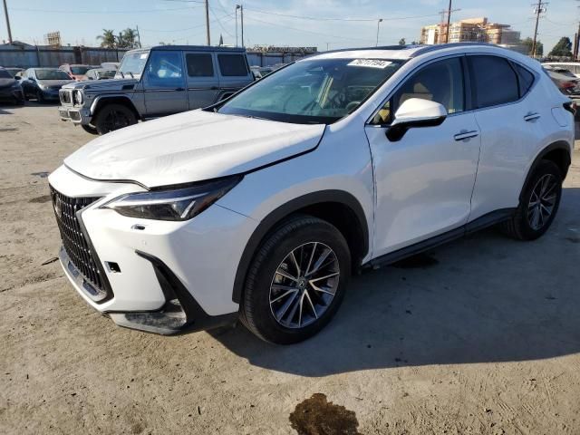 2024 Lexus NX 250 Premium