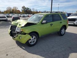 Ford salvage cars for sale: 2012 Ford Escape XLT