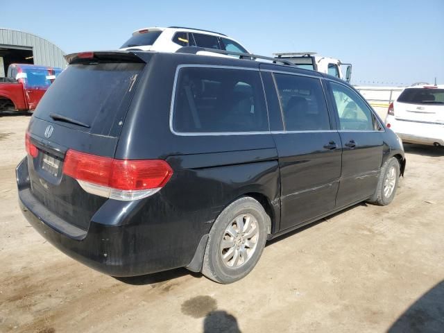 2010 Honda Odyssey EXL