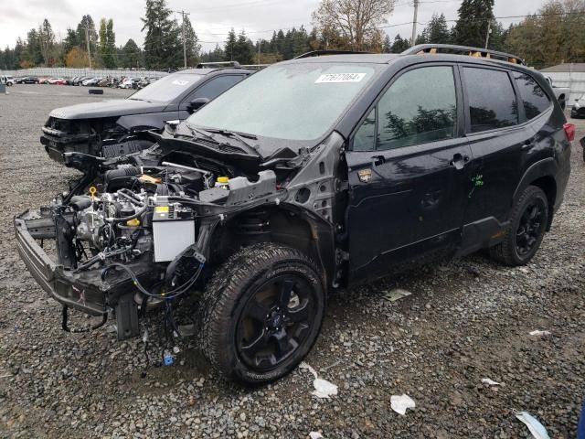 2023 Subaru Forester Wilderness