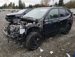 Subaru Forester salvage cars for sale: 2023 Subaru Forester Wilderness