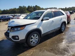 KIA Sorento salvage cars for sale: 2012 KIA Sorento Base