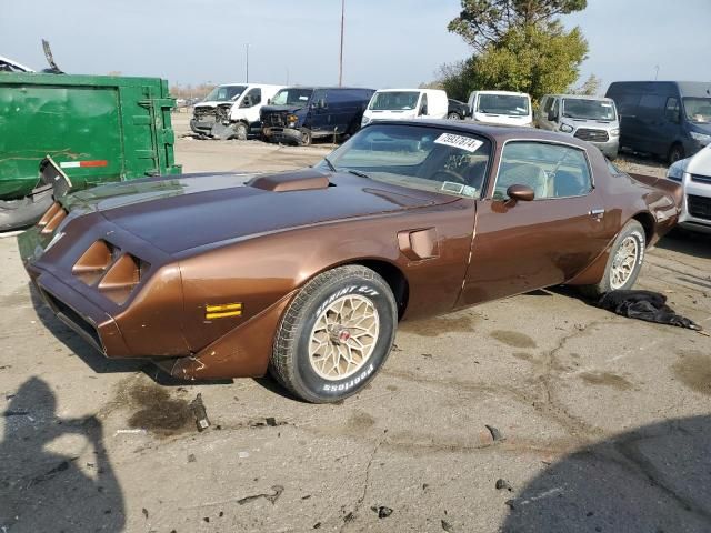 1979 Pontiac Firebird