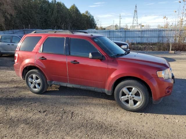 2012 Ford Escape XLT