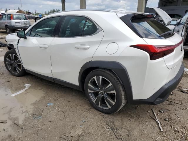 2019 Lexus UX 200