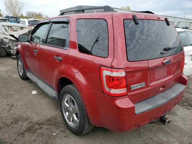 2011 Ford Escape XLT