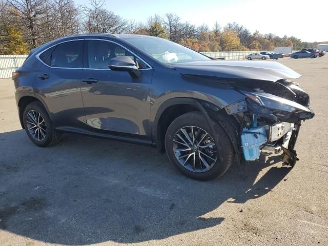 2024 Lexus NX 250 Base