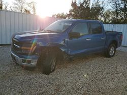 Ford f150 xlt salvage cars for sale: 2024 Ford F150 XLT