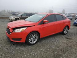 Ford Focus salvage cars for sale: 2017 Ford Focus SE