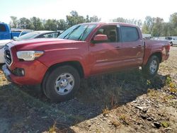 Toyota Vehiculos salvage en venta: 2019 Toyota Tacoma Double Cab