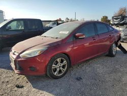 Ford Focus salvage cars for sale: 2014 Ford Focus SE