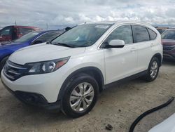 2014 Honda CR-V EXL for sale in Riverview, FL