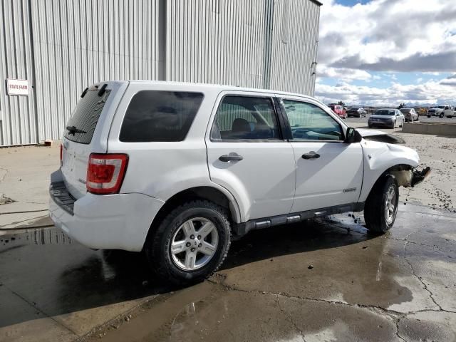 2008 Ford Escape HEV