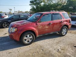 Ford salvage cars for sale: 2009 Ford Escape XLT